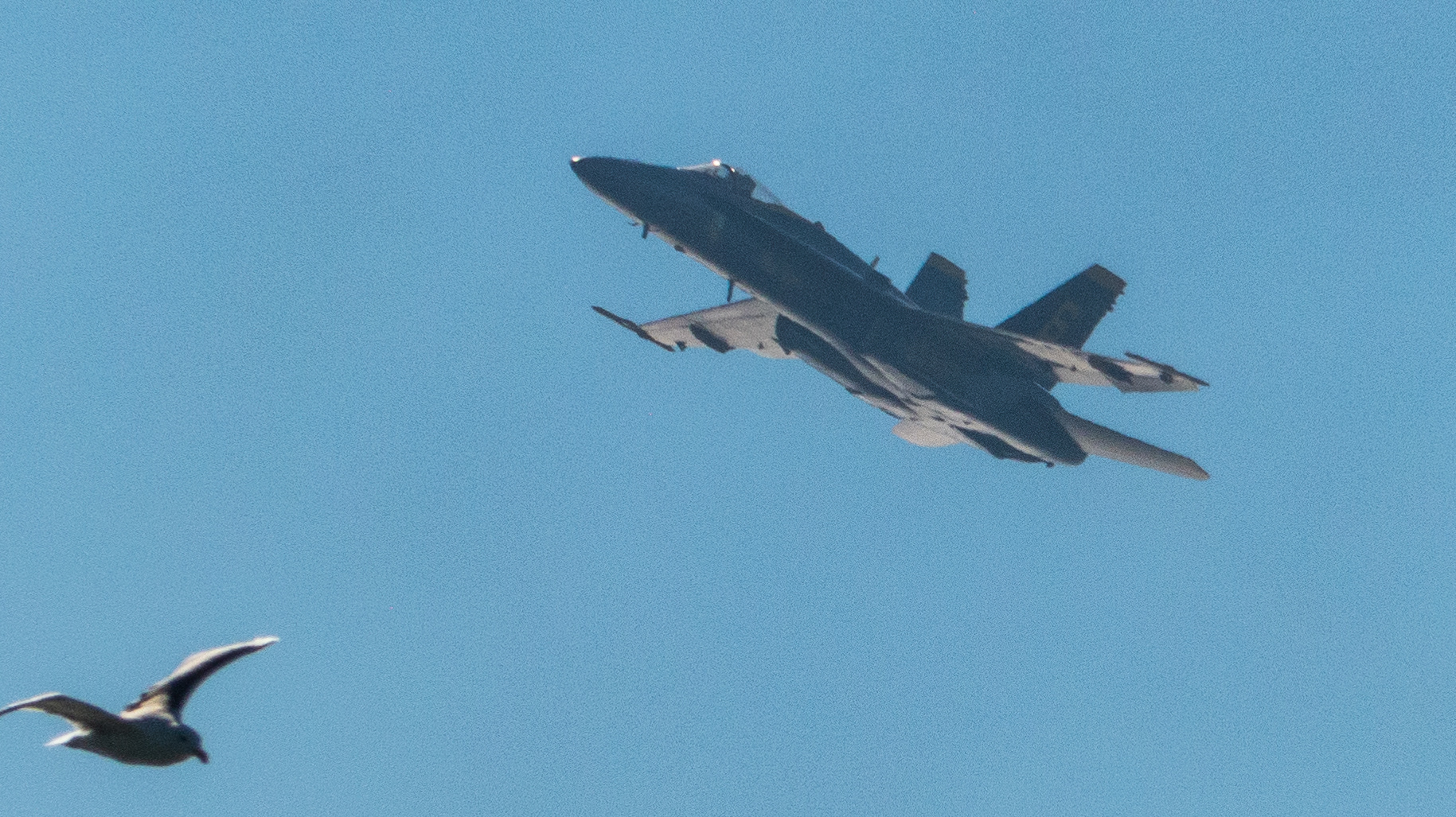 Fleet Week San Francisco, 2018