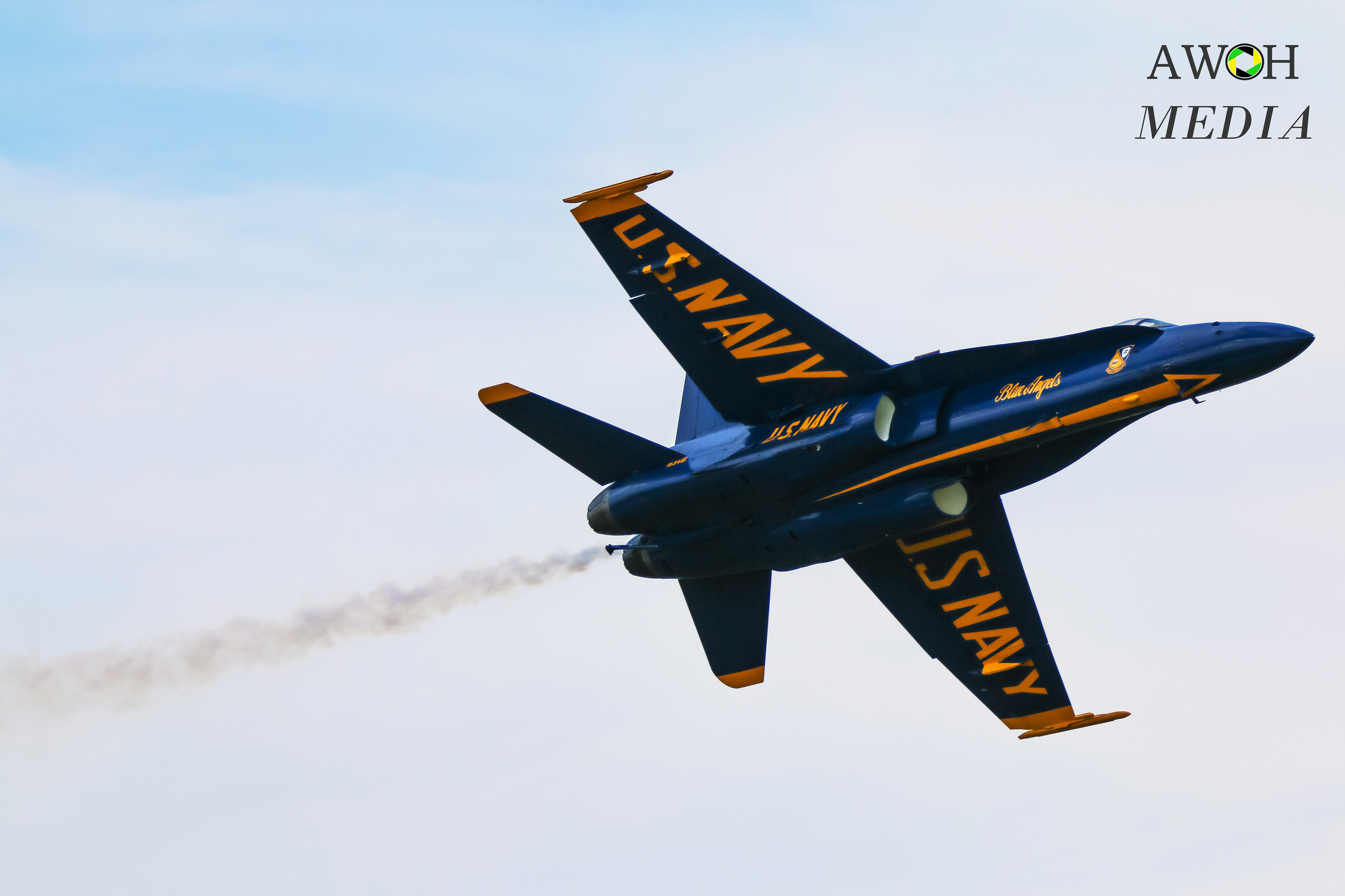 US Navy Blue Angel F/A-18f Hornet flying over NAS Jax
