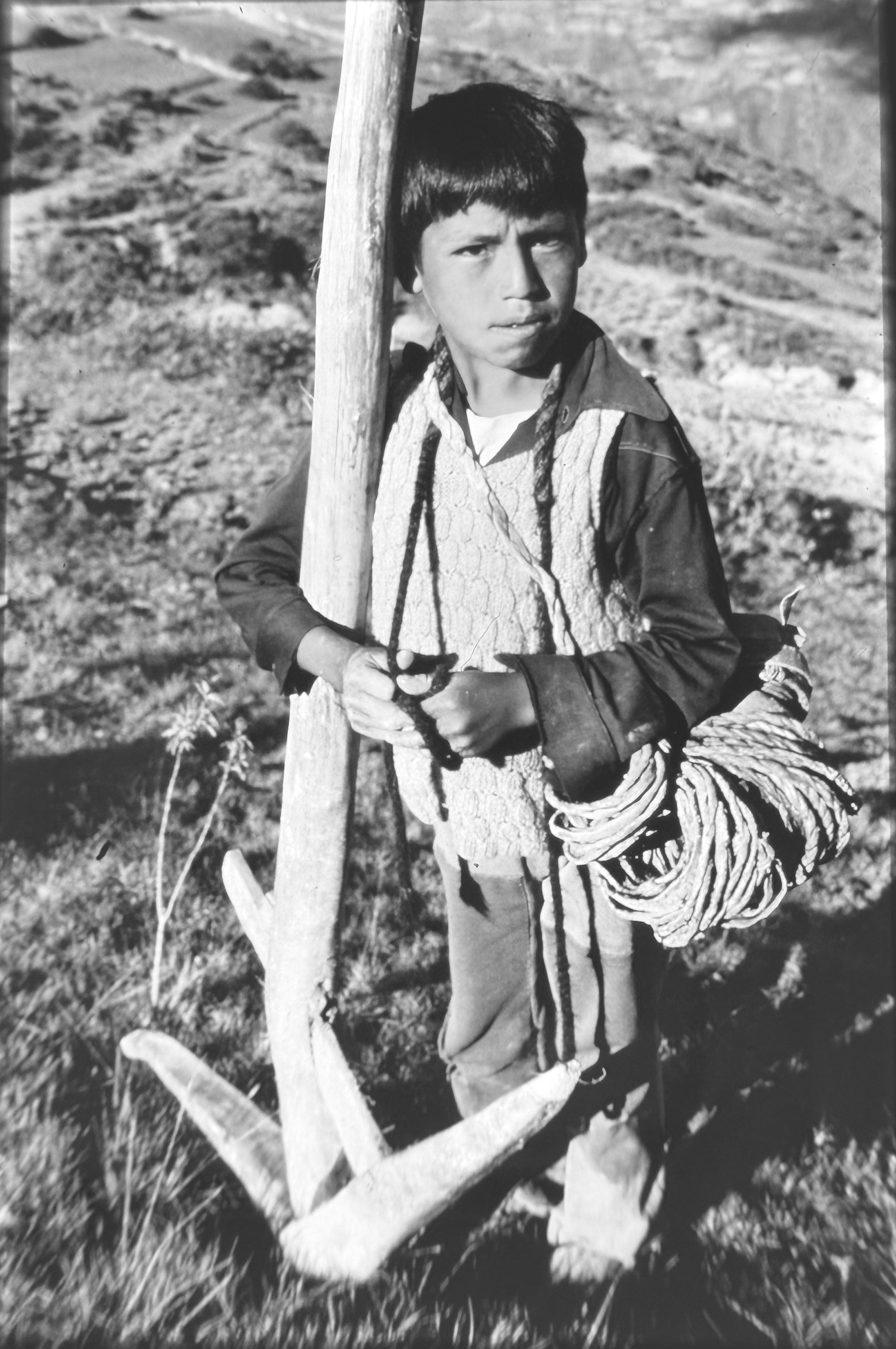 Young Farmer - Potosi