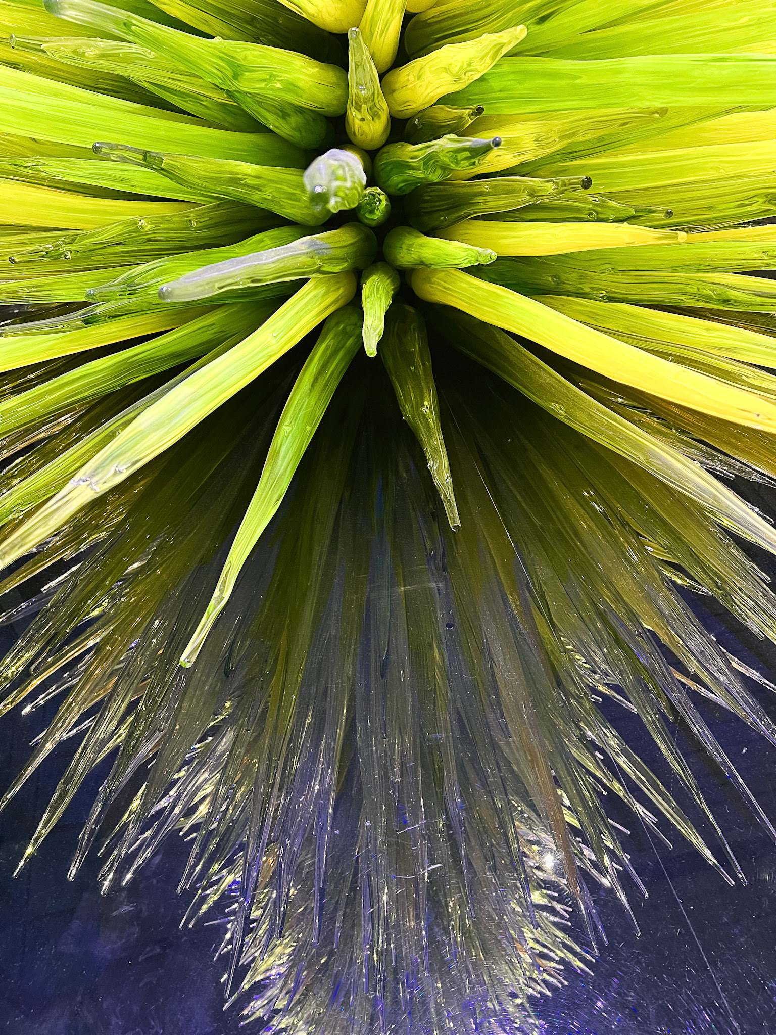 Lime Green Icicle Top