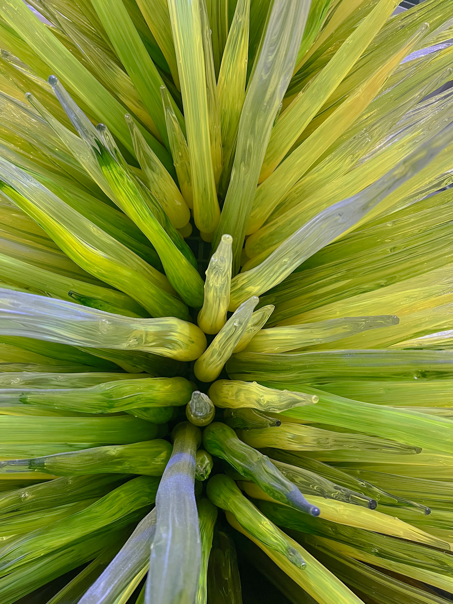 Lime Green Icicle Middle