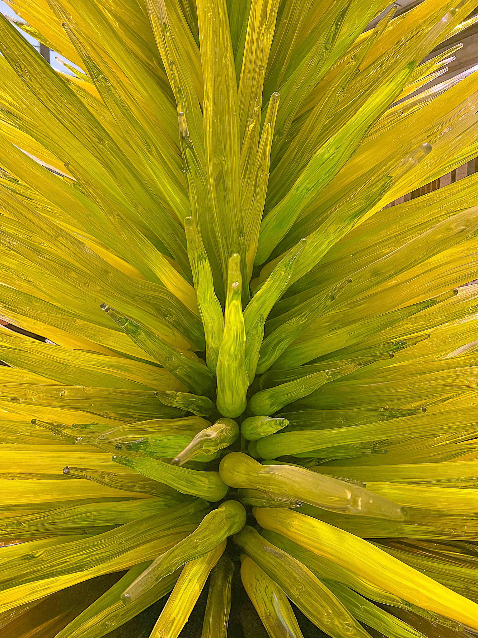Lime Green Icicle Bottom
