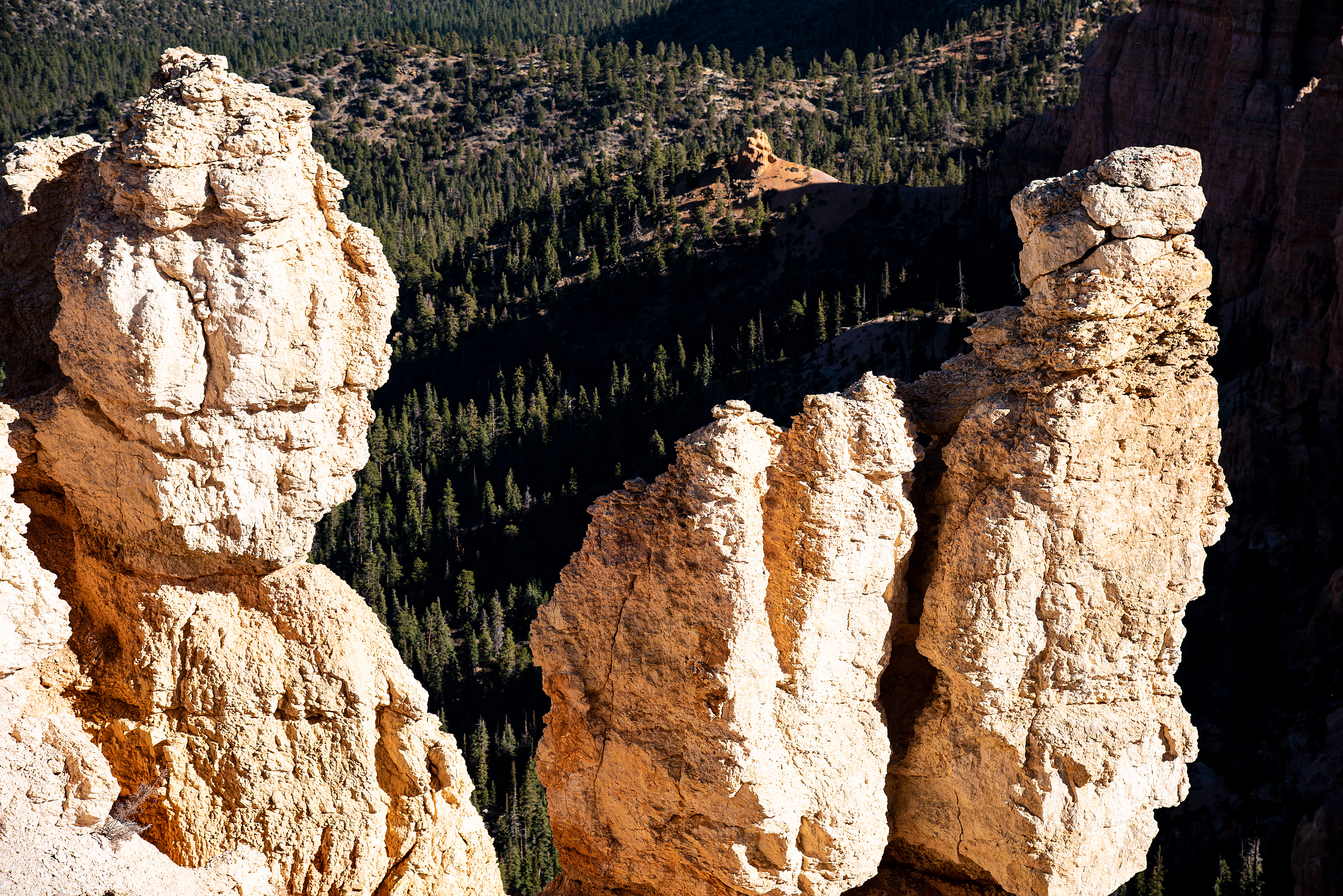 Bryce canyon National Park