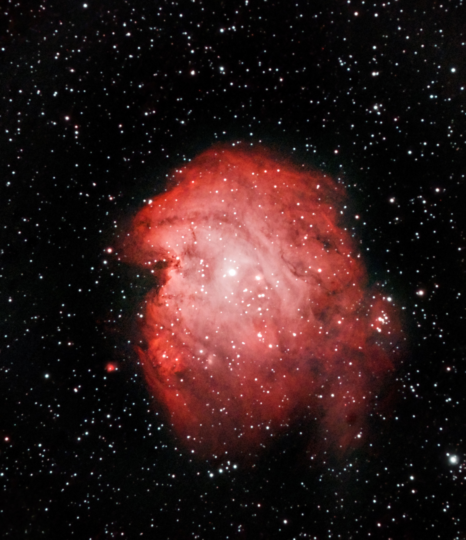 Monkey Head Nebula