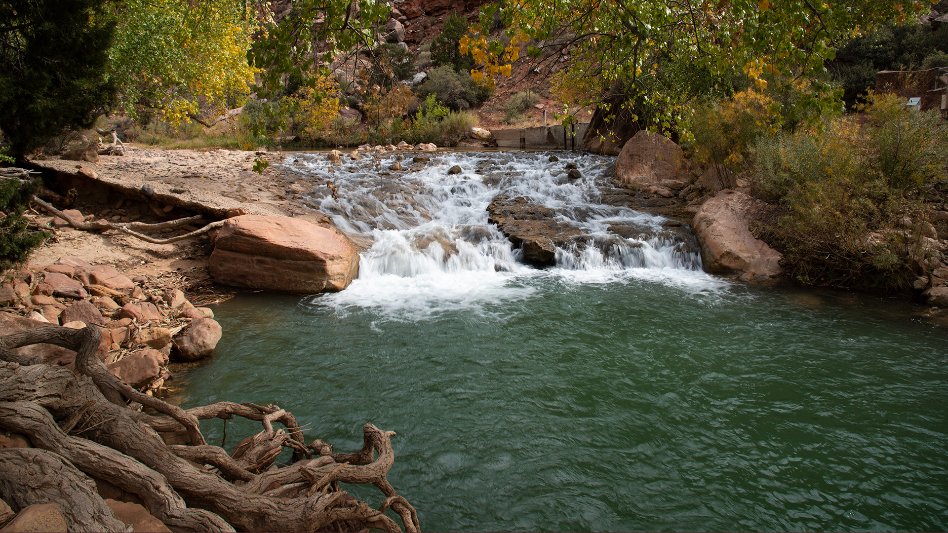 Zion National Park