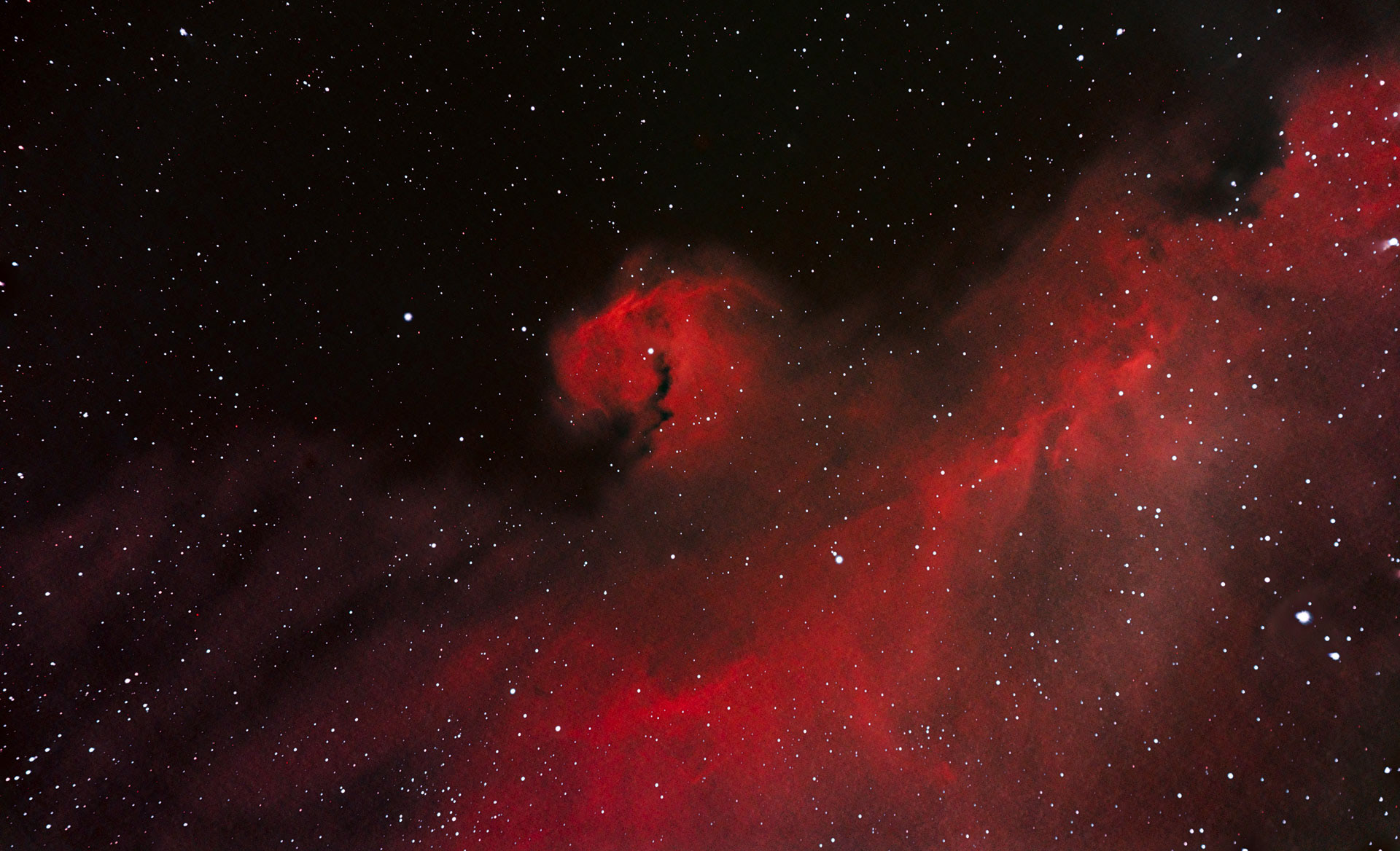 IC 2177 - Seagull Nebula
