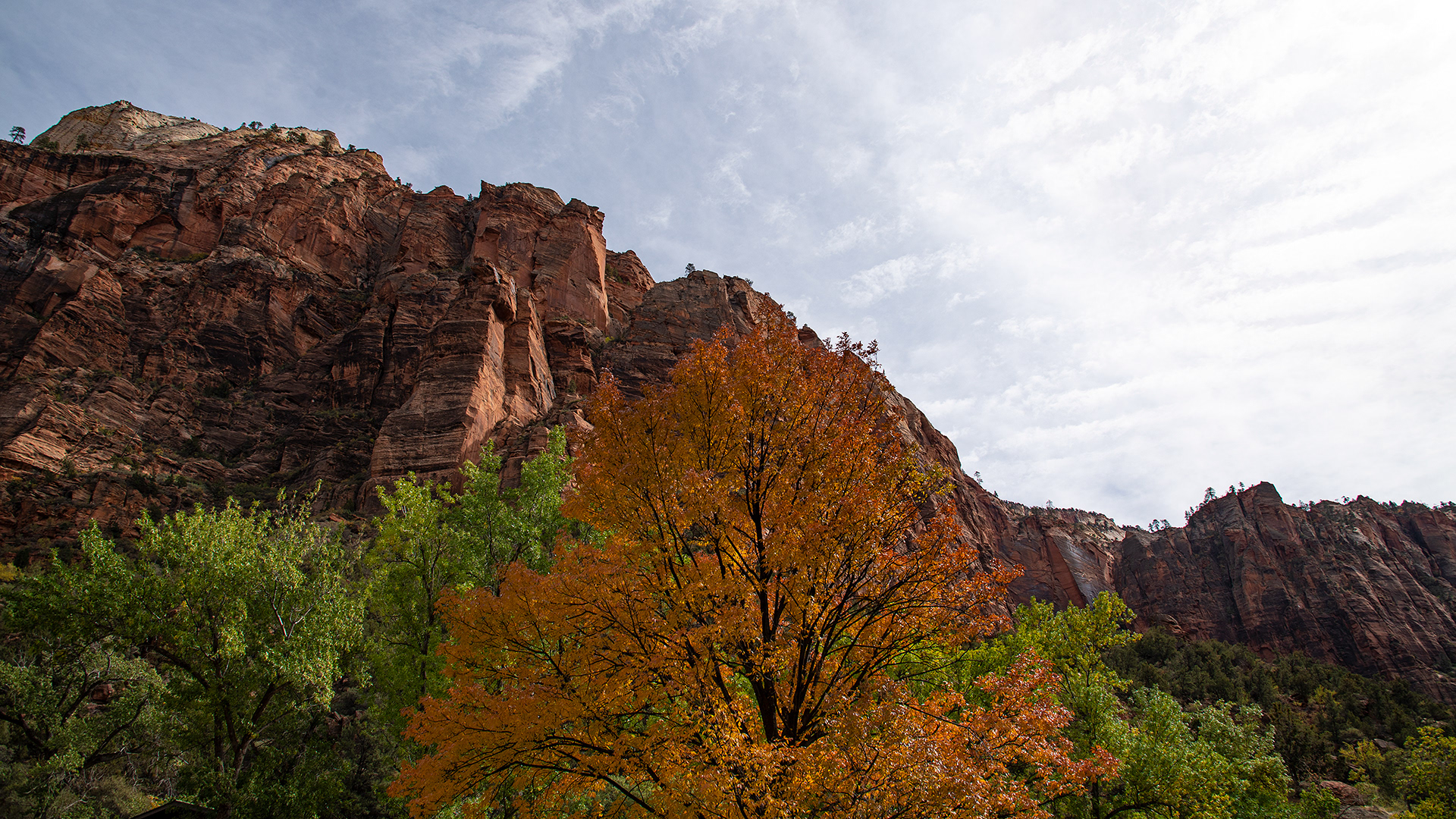 Zion National Park