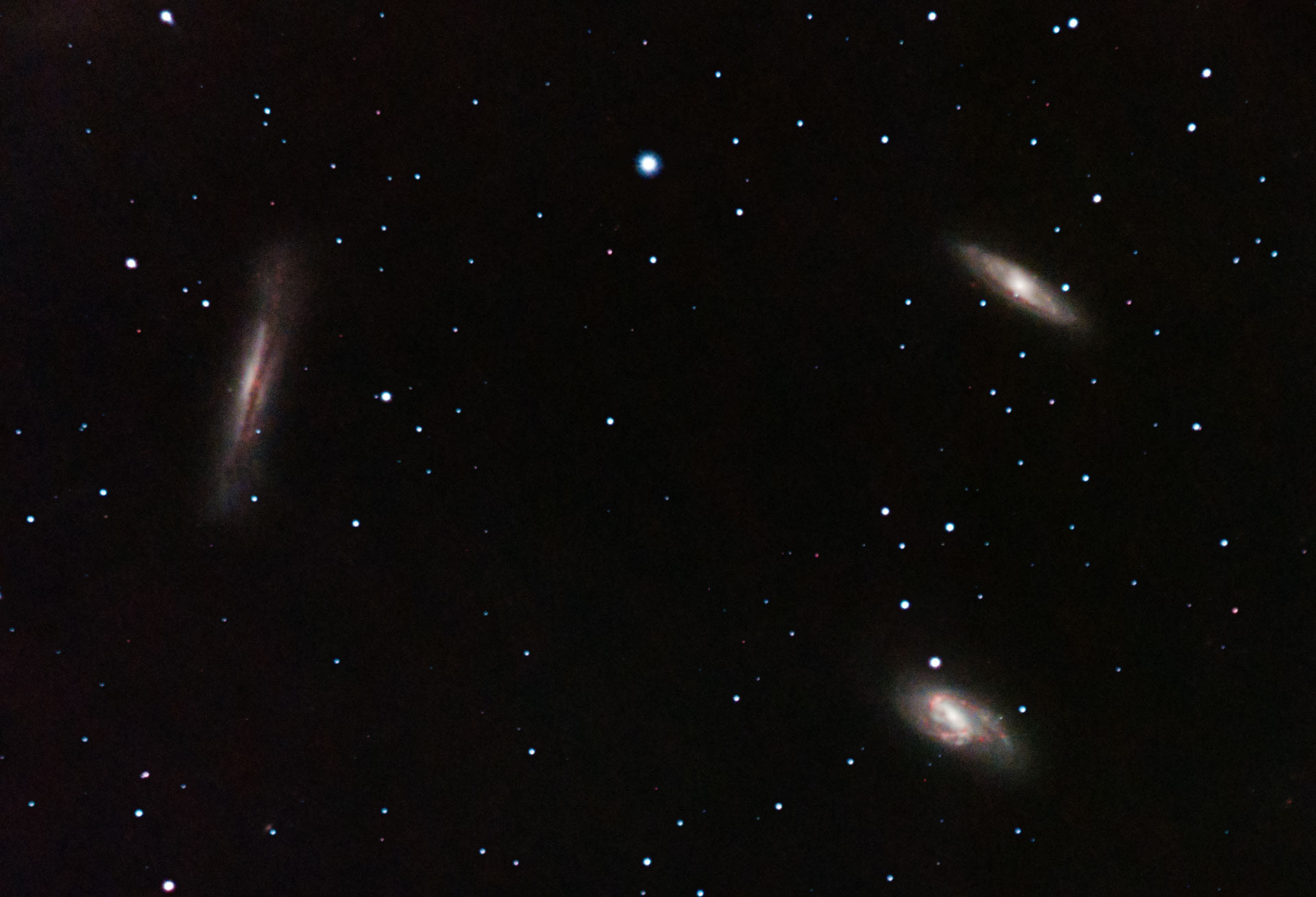 The Leo Triplet - M66 Group