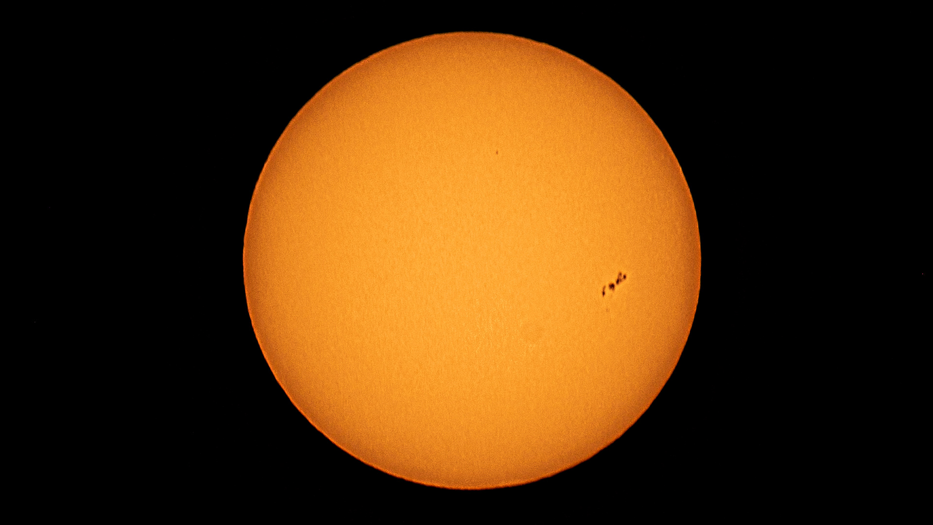 Sun Spots