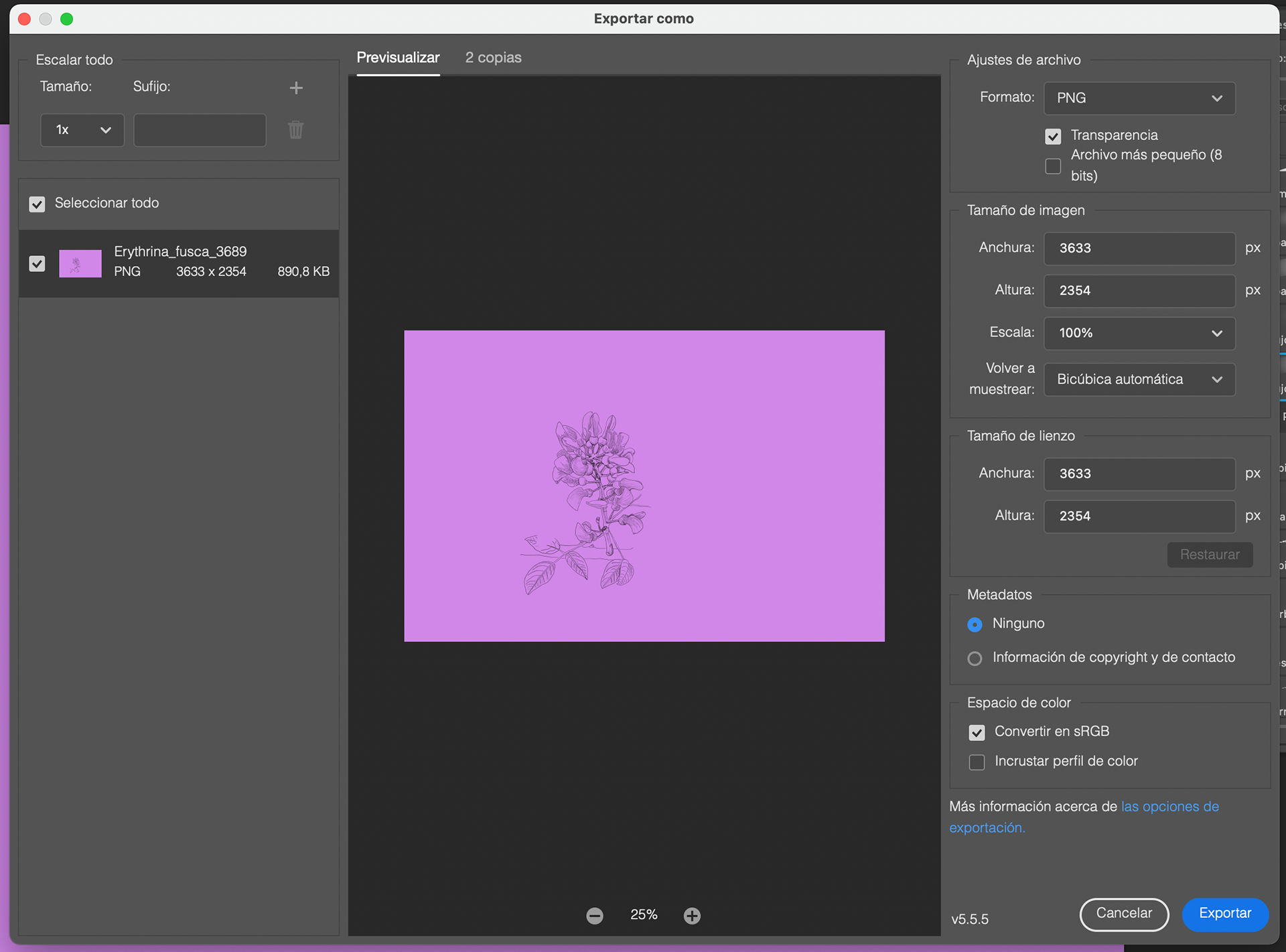 Photoshop