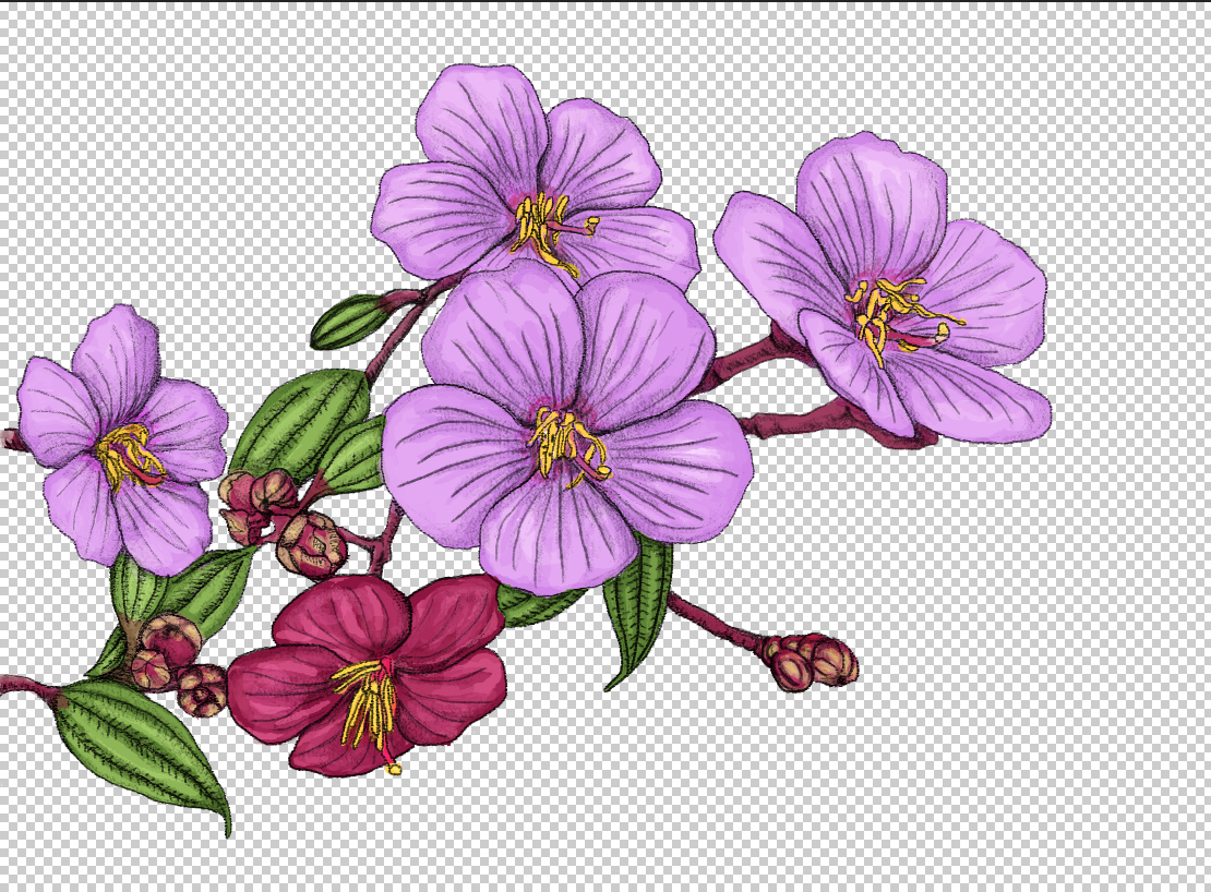 Imagen PNG