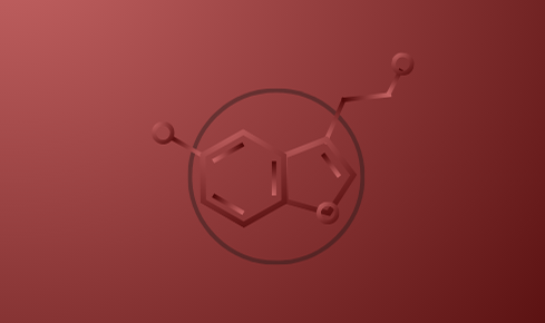 Serotonin Photography by Hoku Wong