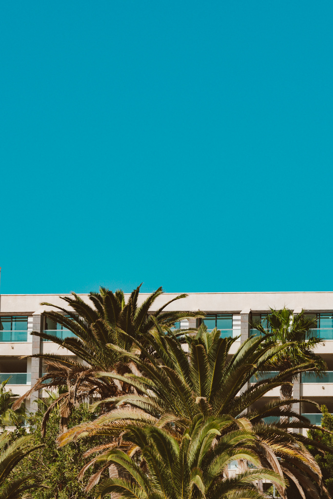 Fuerteventura - 2025 