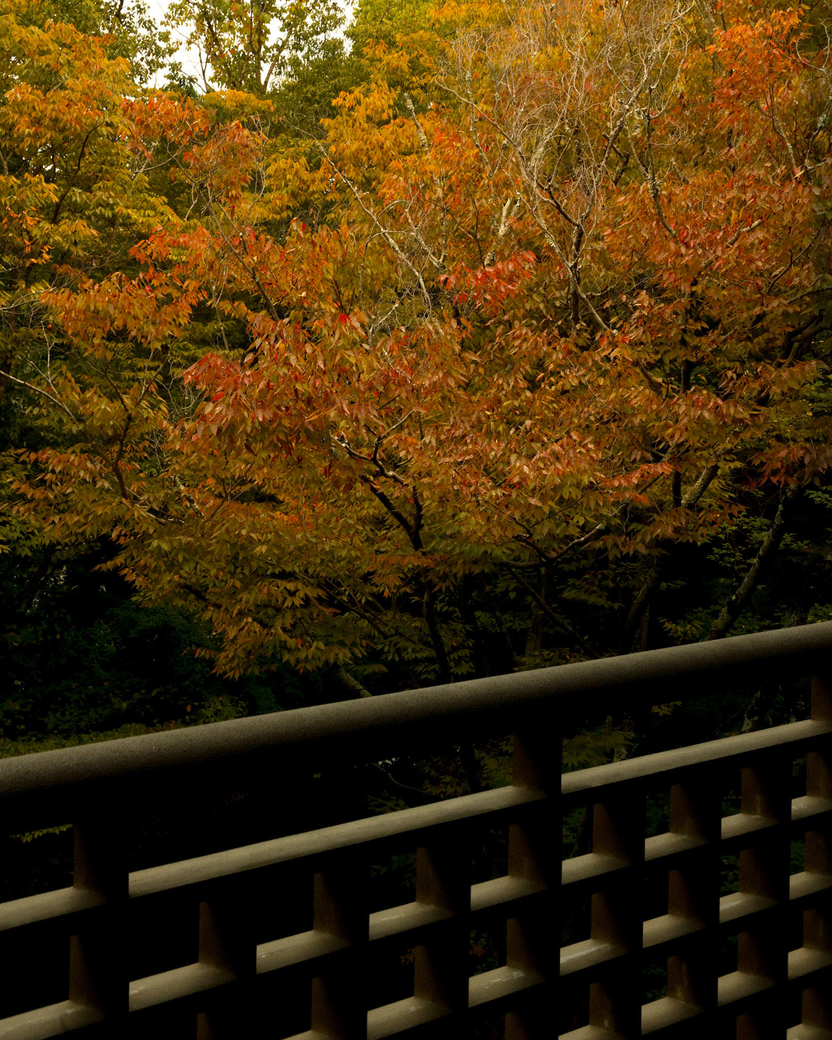 Nara/IGLTA/Visit Japan 2024