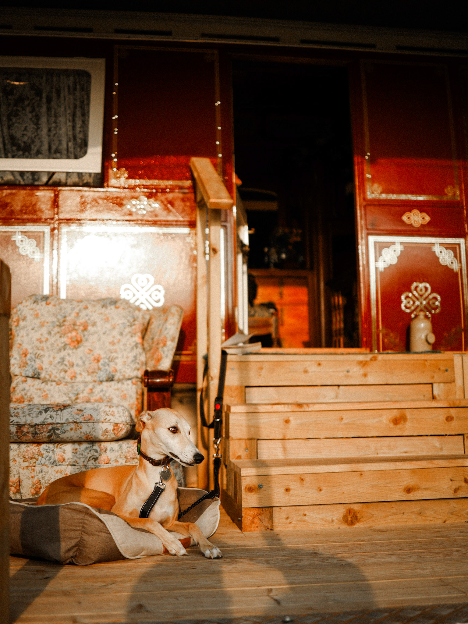 Hooga Retreats - 2024