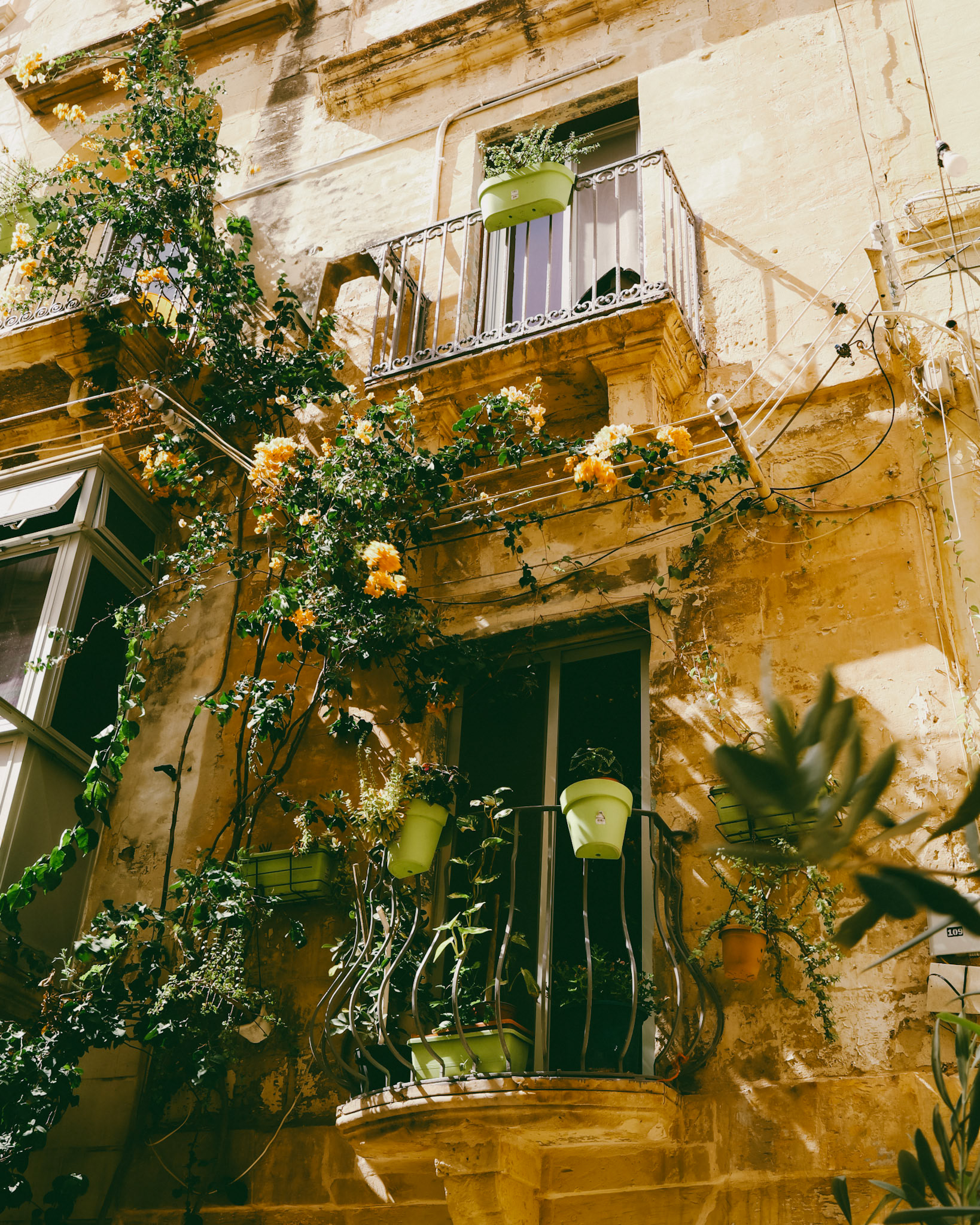 Visit Malta/Gozo - 2024