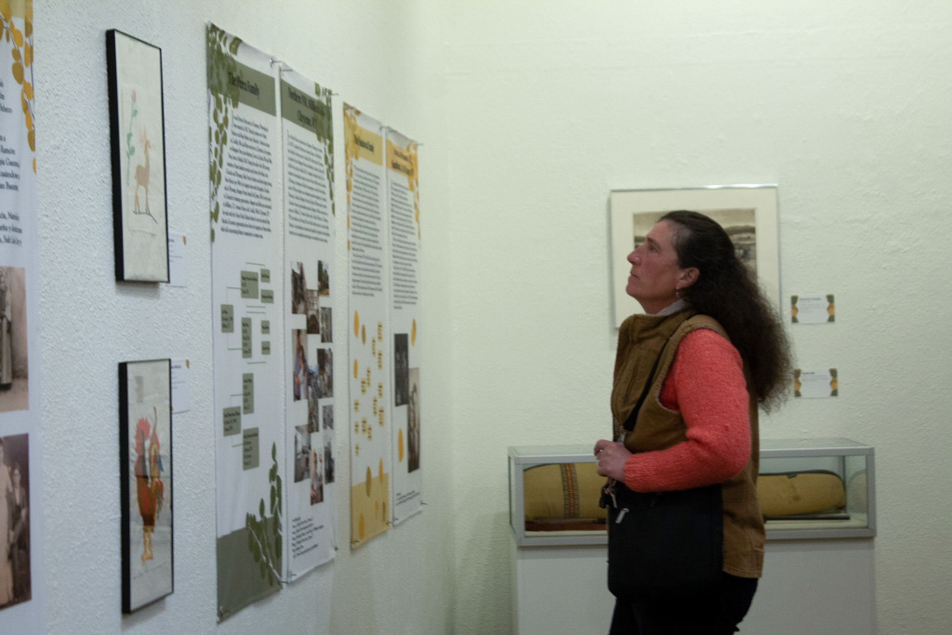 A woman viewing family panels displayed in exhibition.