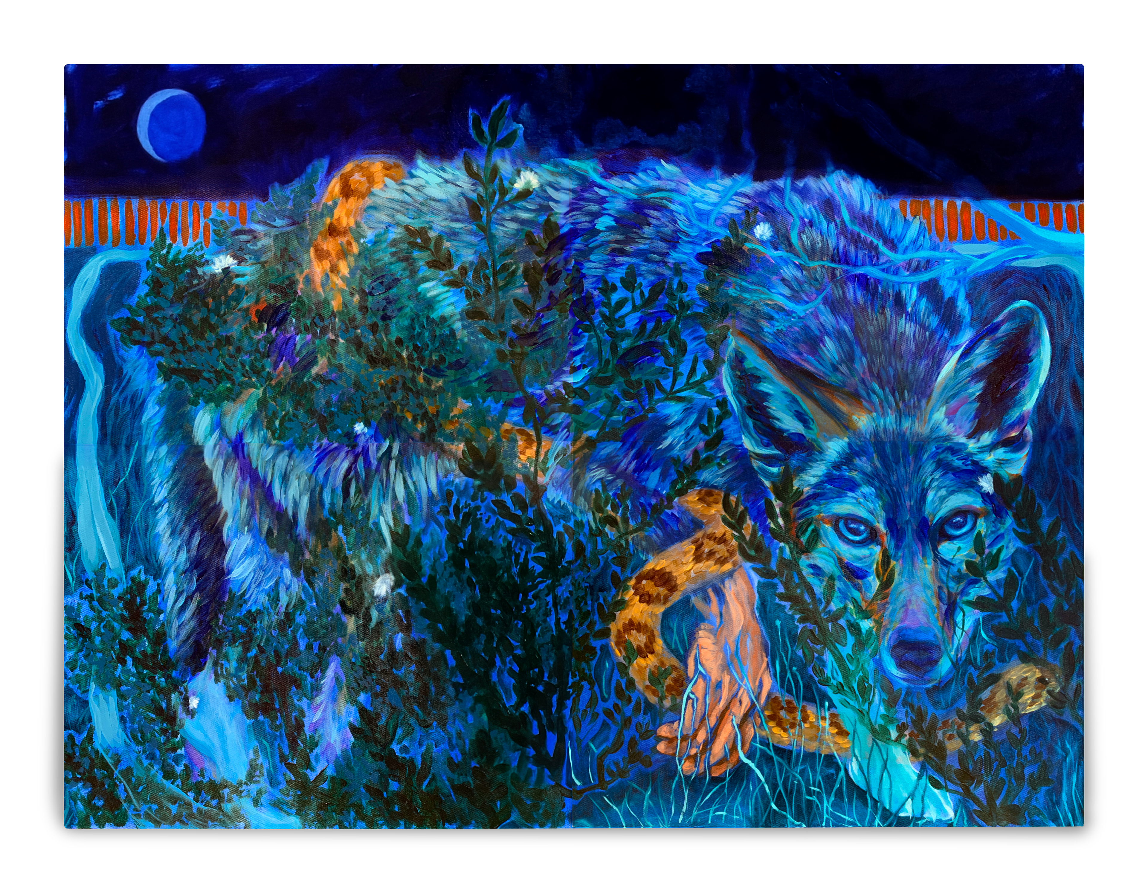 Pasajero | Oil on canvas | 30”x40” | 2023