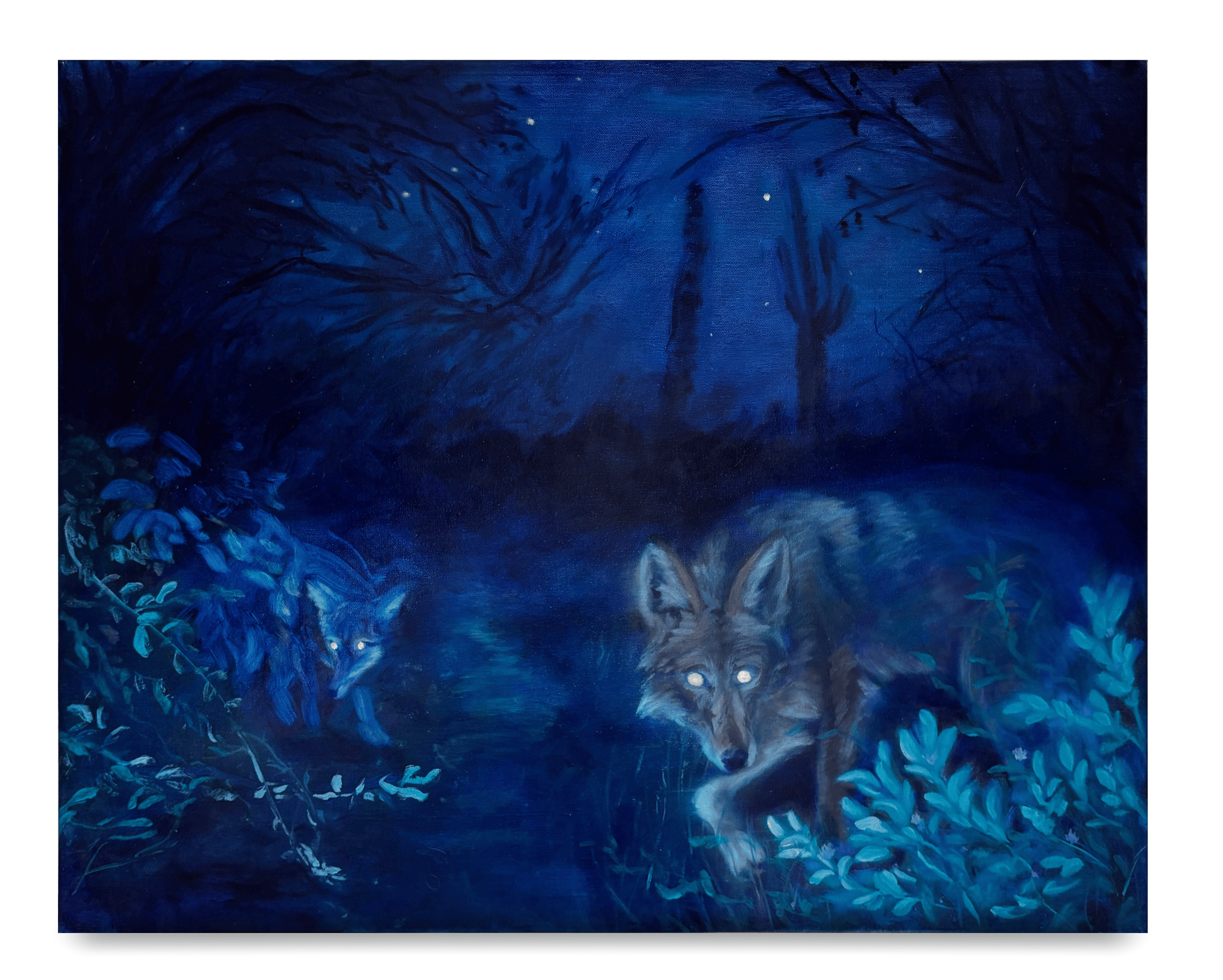 Coyotes fantasmas II | Oil on canvas | 24”x30” | 2025
