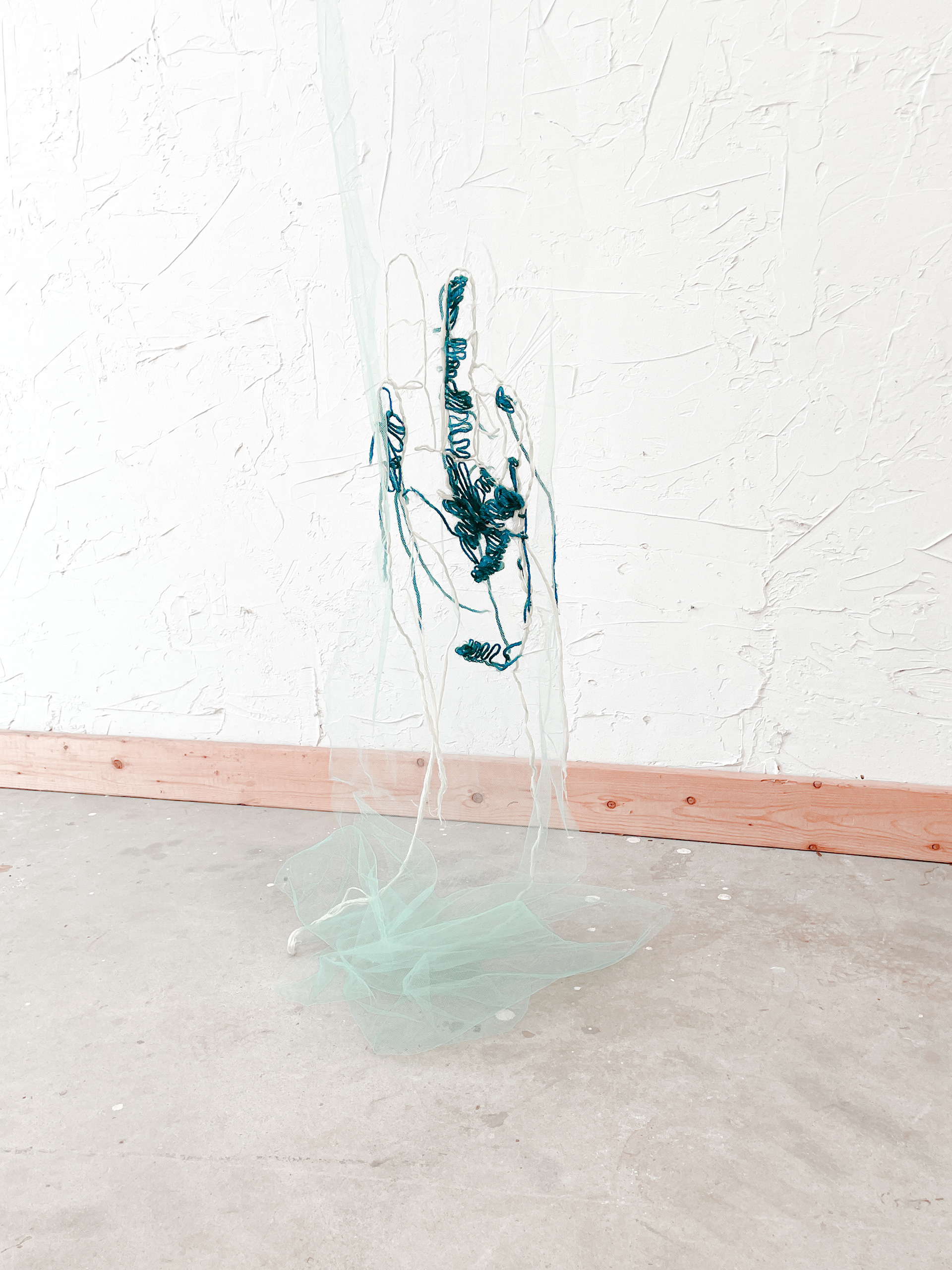 I wasn't Lying, I just didn't Know 2024