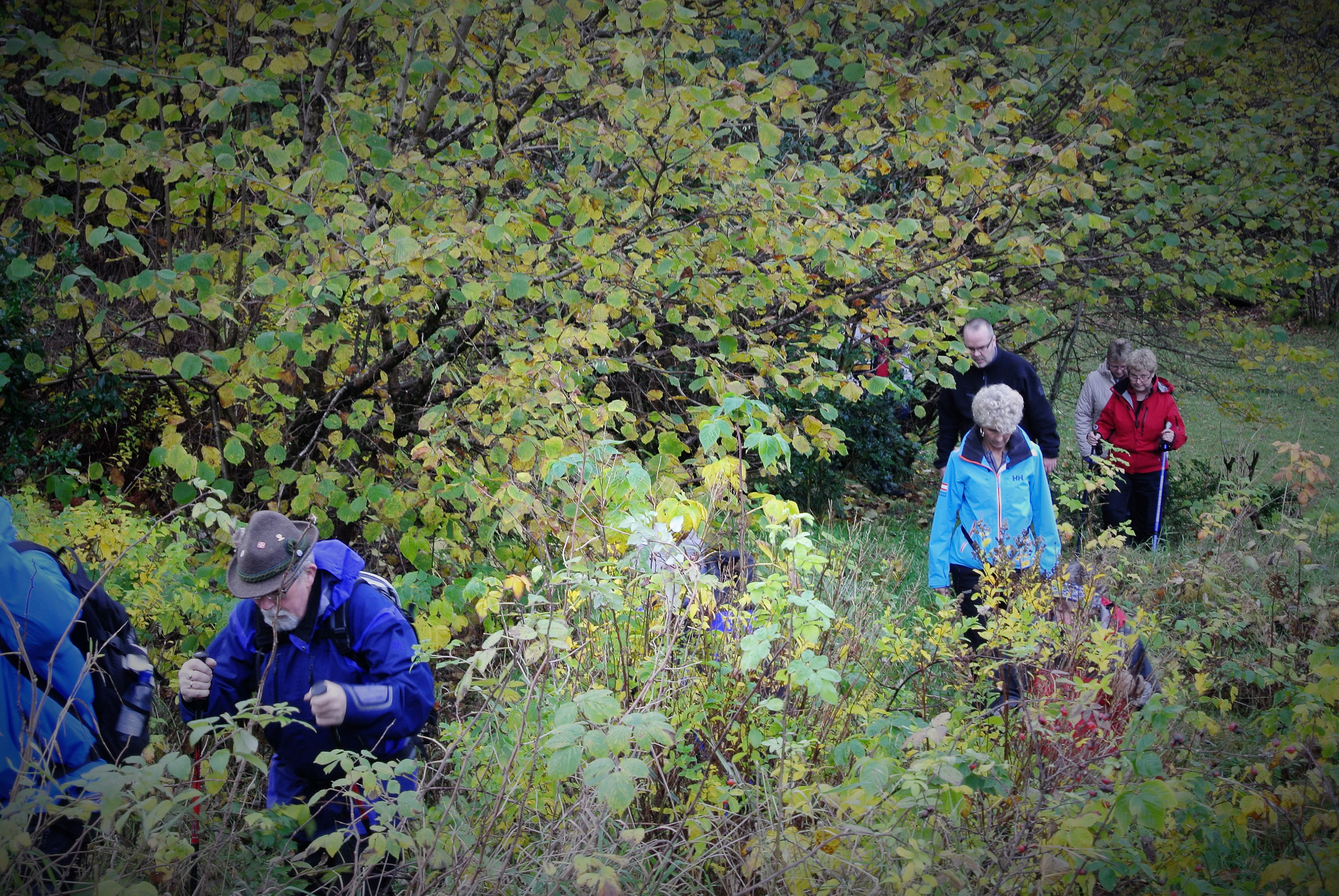 HAUG&HAMMER på tur retning FATLANDSKOGEN.