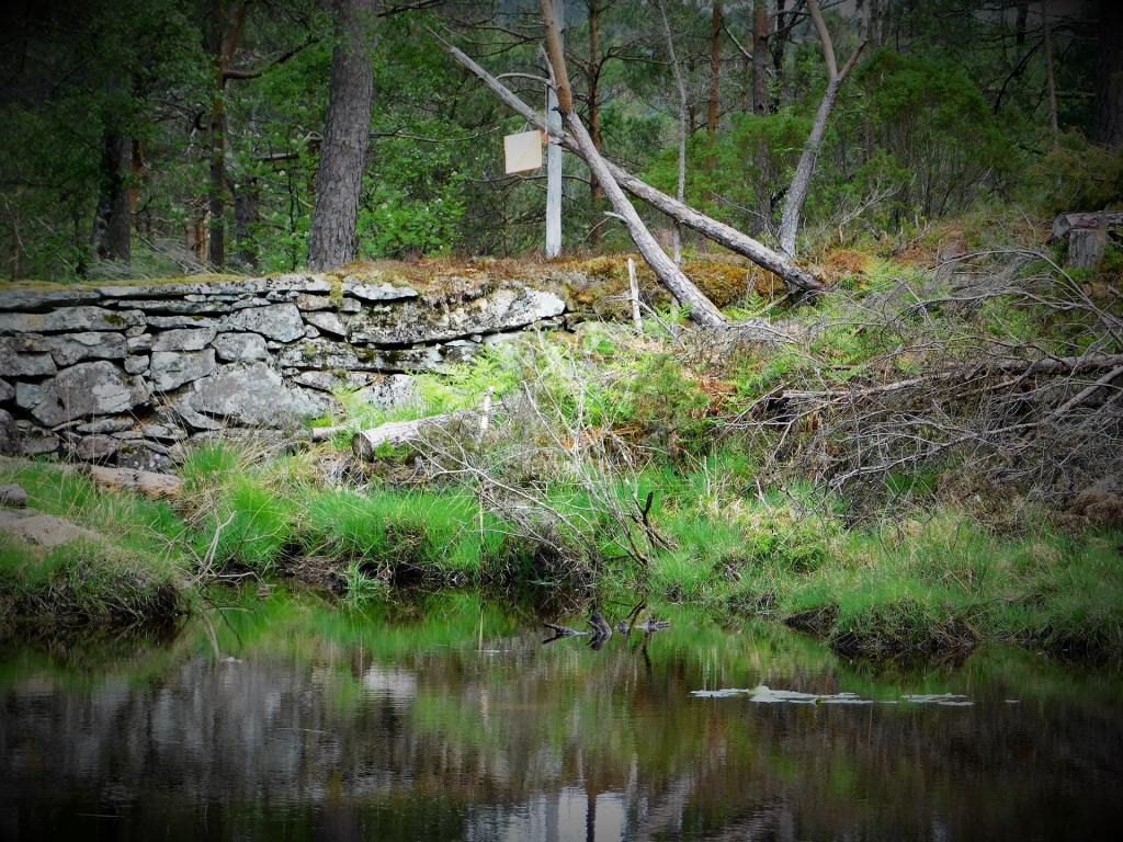 Løypa til FLYPLASSEN går over denne flotte demningen, rett nedanfor Ådnaviksvatnet. August 2018.