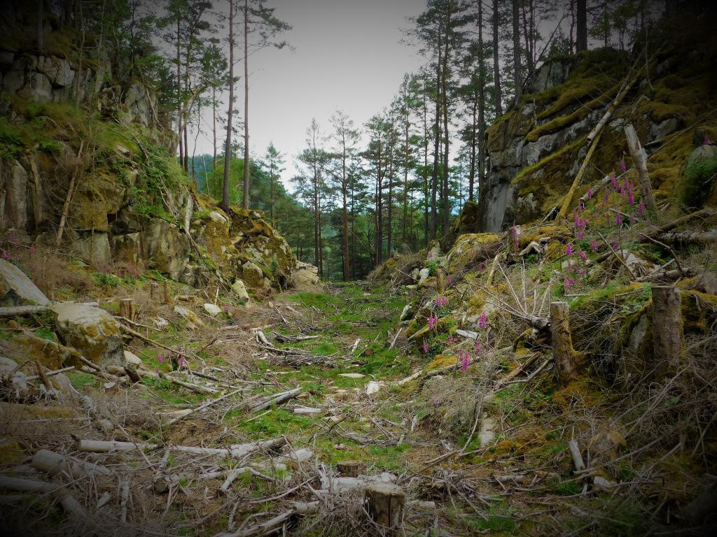 Gjennom toppen av åsen går det eit markert skar mot sør.