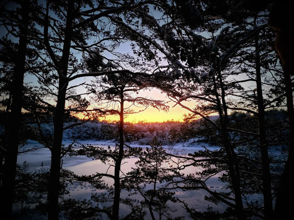 Nydeleg kveldsutsikt over Fatlandsvatnet frå gapahuken. Januar 2023. Foto Hildegunn Ruud.