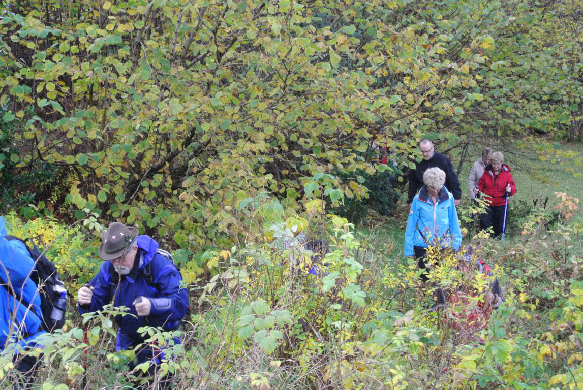 HAUG&HAMMER på tur retning FATLANDSKOGEN.
