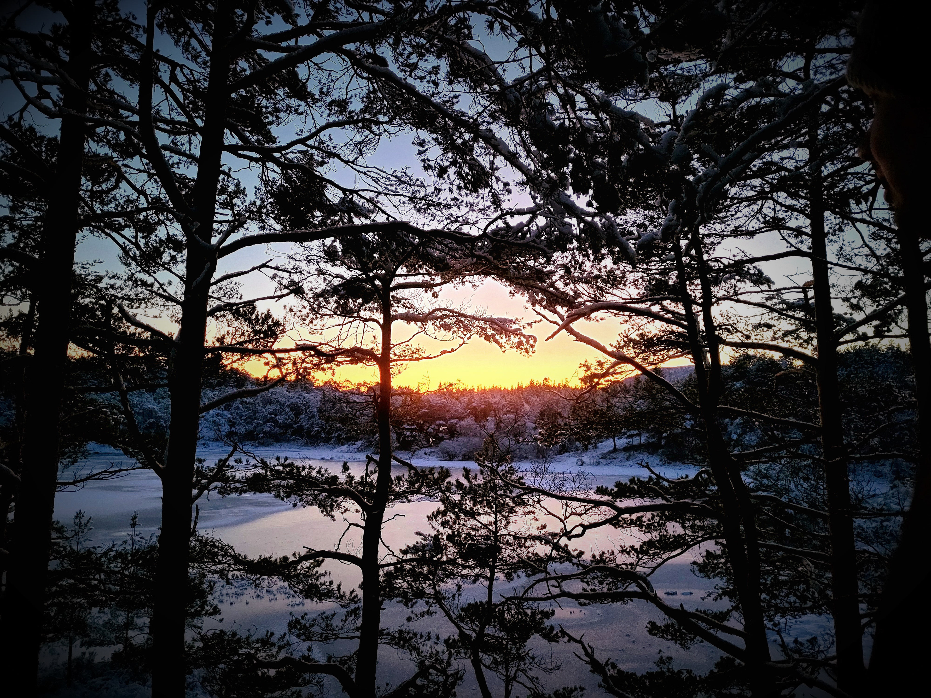 Nydeleg kveldsutsikt over Fatlandsvatnet frå gapahuken. Januar 2023. Foto Hildegunn Ruud.