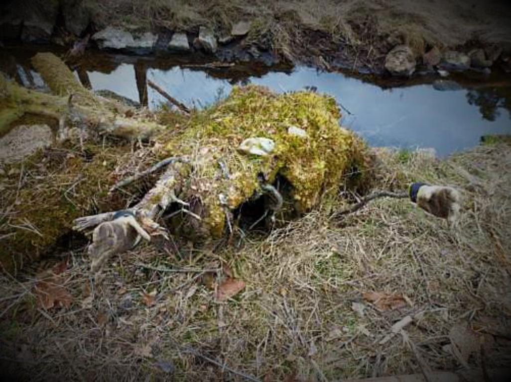Troll som tek mot deg med opne armar. Foto: Oddny Tofte.