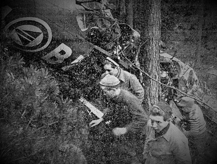 Me må vel også kalla det eit kulturminne det at eit fly styrta inne i skogen her i januar 1954. Den eine av dei to i flyet omkom. Rett nok skjedde dette på nabogarden i nord, Arnevik, men grunneigarane der har tankar om å laga eit slags minne på FLYPLASSEN, altså nett der flyet datt ned. Dei vil òg merka ein sti frå gapahuken i HJORTESTIEN, og fram til FLYPLASSEN. Stien blir rundt 700 meter lang. I boka "Halsnøy 2014" står det ein artikkel som fortel om sjølve hendinga då flyet gjekk tomt for bensin, og datt ned her i skogen. Du kan framleis kjøpa boka hos Arne Gjerde, no til den svært hyggelege prisen 150,-.