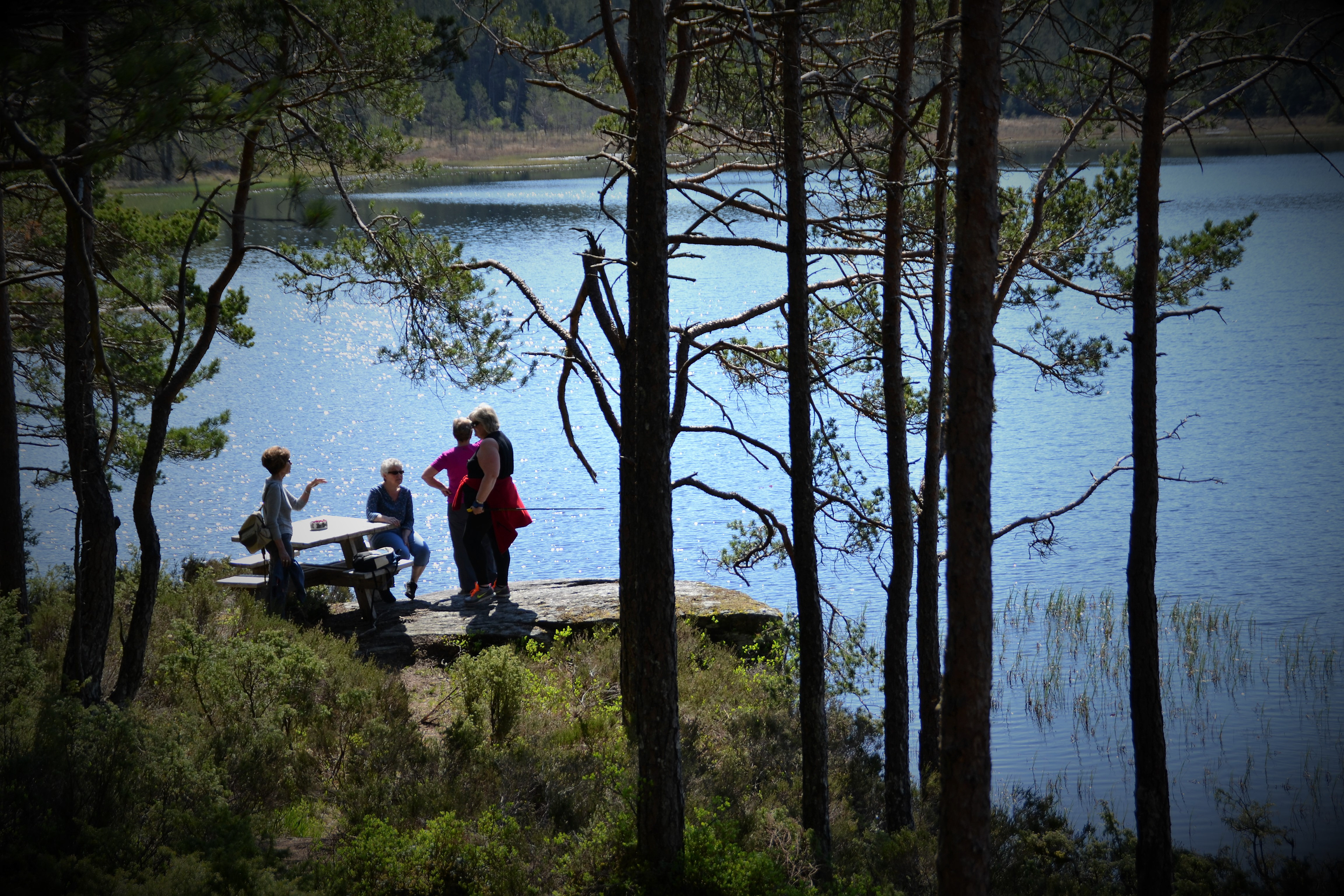 Idyllisk sommardag på berget nedanfor gapahuken.