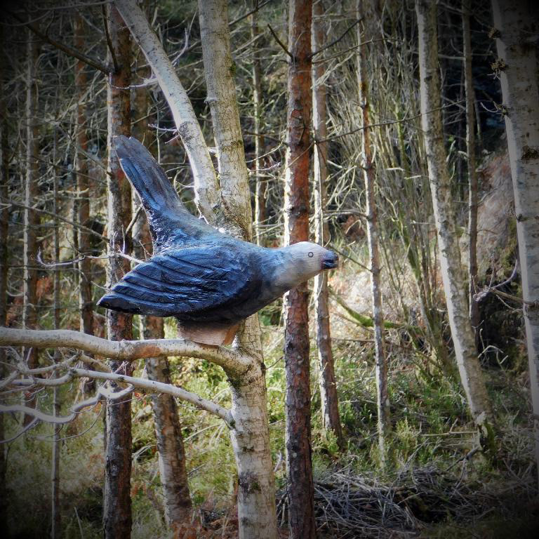 Endeleg har gauken komme til FATLANDSKOGEN.