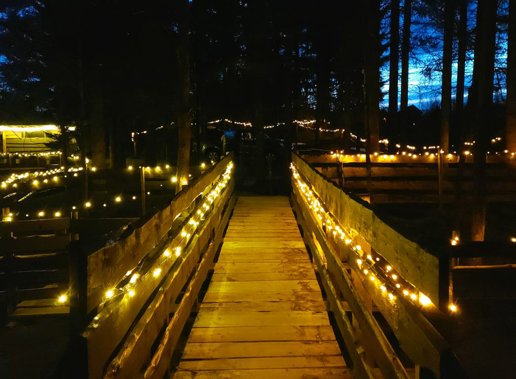 I området rundt dammen kan det vera veldig stemningsfullt i kveldinga. Desember 2022. Foto Anna Gjerde.