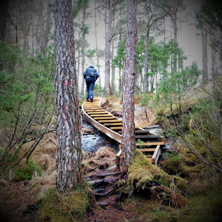 Eitt av Kjell Rune sine sju underverk. Februar 2023.