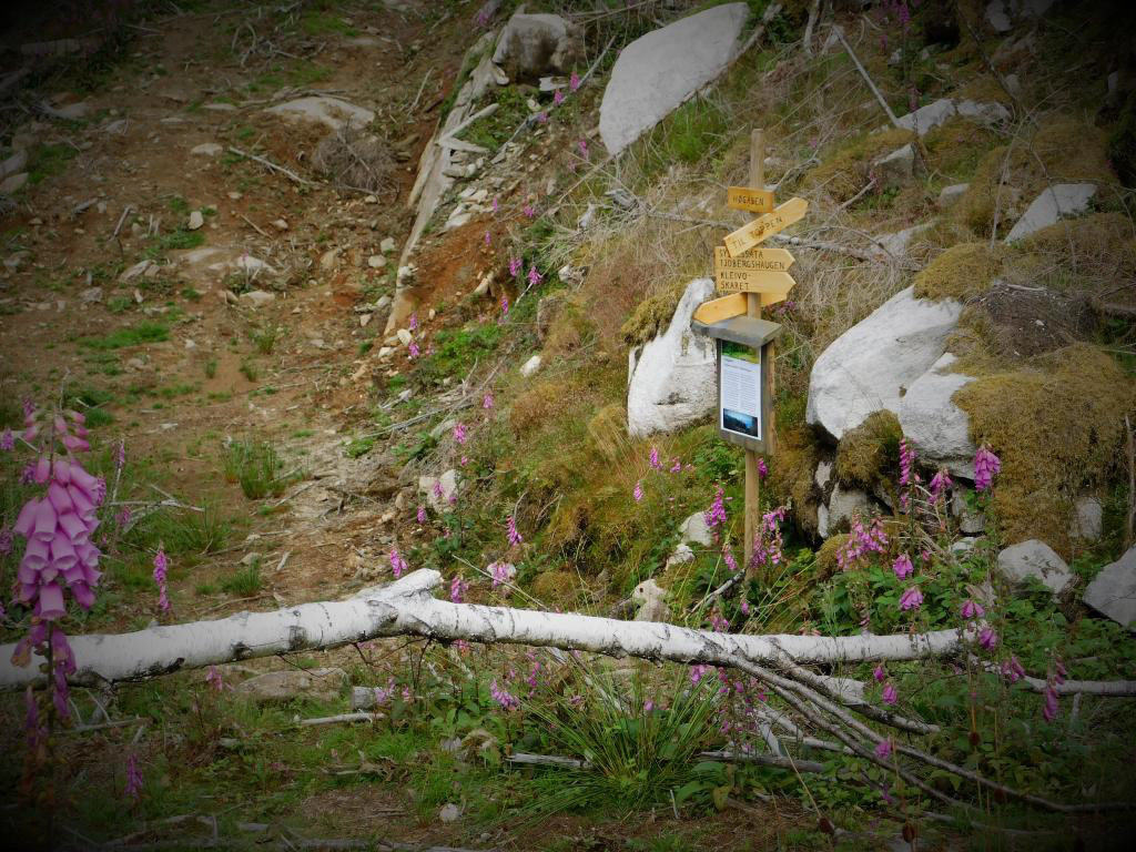 Info og skiltjungel er plassert ved det naturlege utsiktspunktet, som ligg litt nedanfor toppen av Høgåsen.