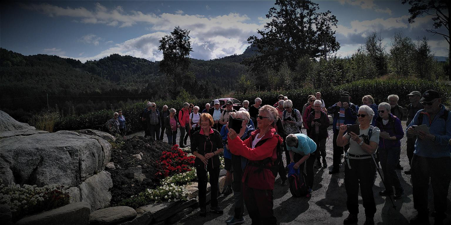 Først gjekk turen oppom GULLHAUG, og der vart det mykje fotografering av blomane.