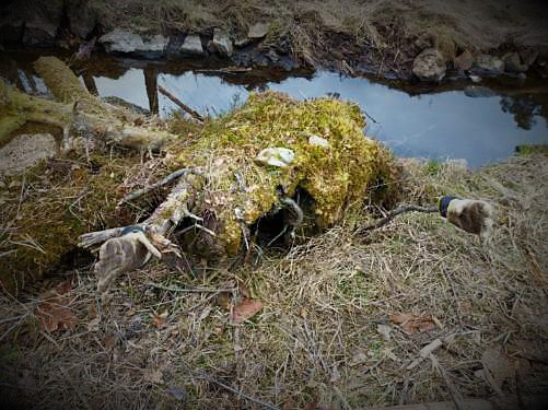Eit litt latare troll, som ligg og kviler rett ovanfor STEMMEN. Foto: Oddny Tofte.