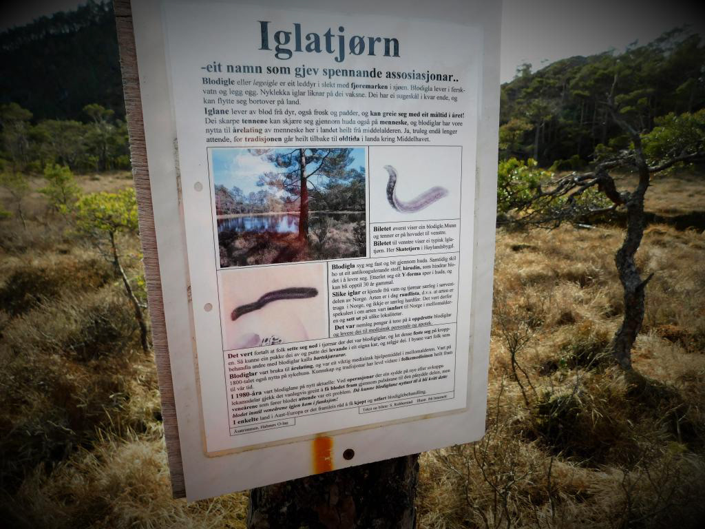 Informasjon ved Iglatjødno.