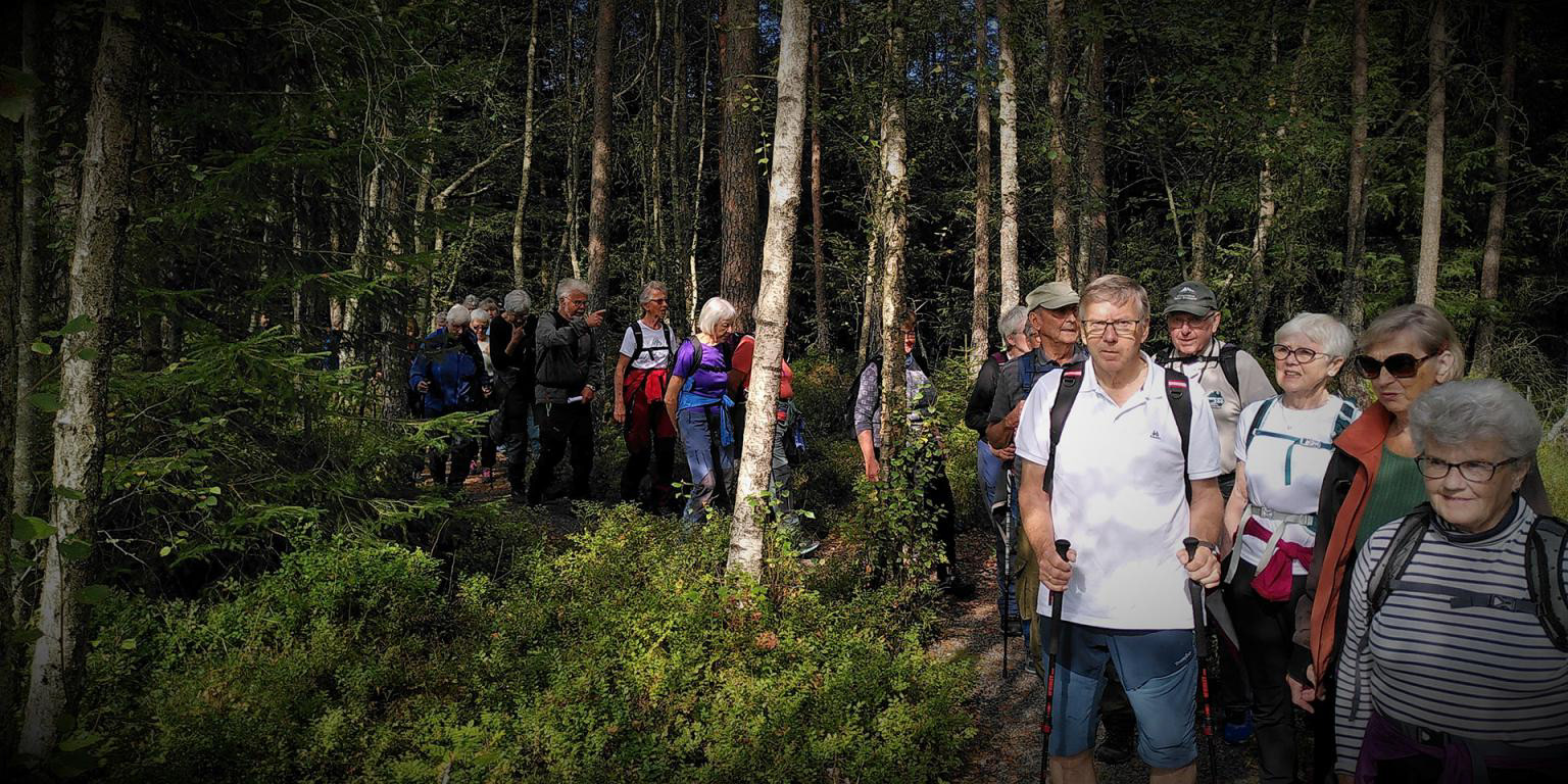 På rekkje og rad gjennom NATURSTIEN.