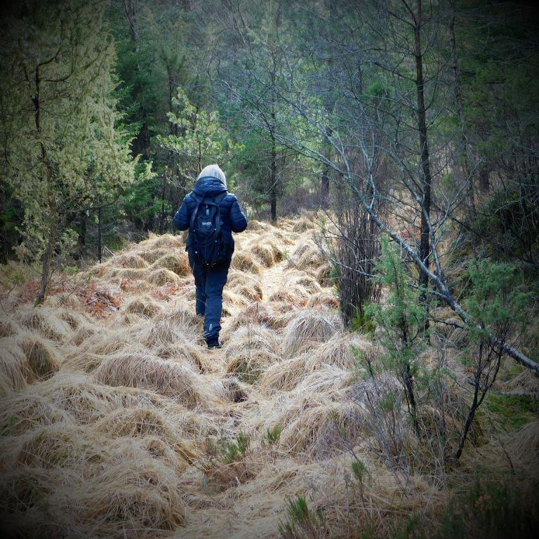 Her inne er du heilt for deg sjølv. Ikkje mykje bråk i gatene her, nei. I dette området har hjorten fått styrt ståket i alle år. Februar 2023.