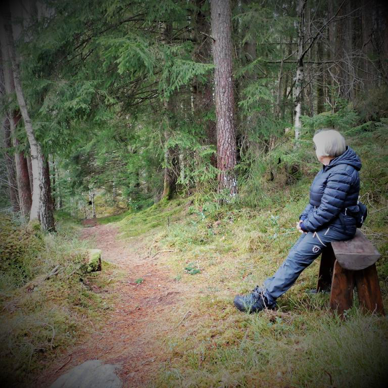 Mjuke og gode stiar, som du ikkje får gangsperr av ein gong. Mykje betre enn all verdens medisinar for kroppen. Februar 2023.