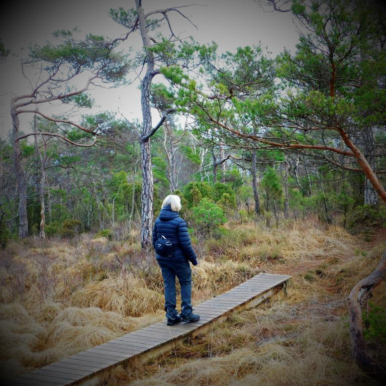 Du kan gå i joggesko gjennom heile HJARTESTIEN, heile året rundt. Februar 2023.