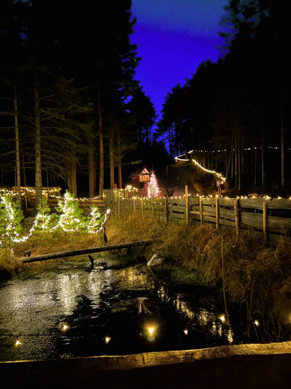 Stemningen ligg tjukt vidare oppover den juleopplyste NATURSTIEN. Desember 2022. Foto Sunniva Lind T Gjerde.