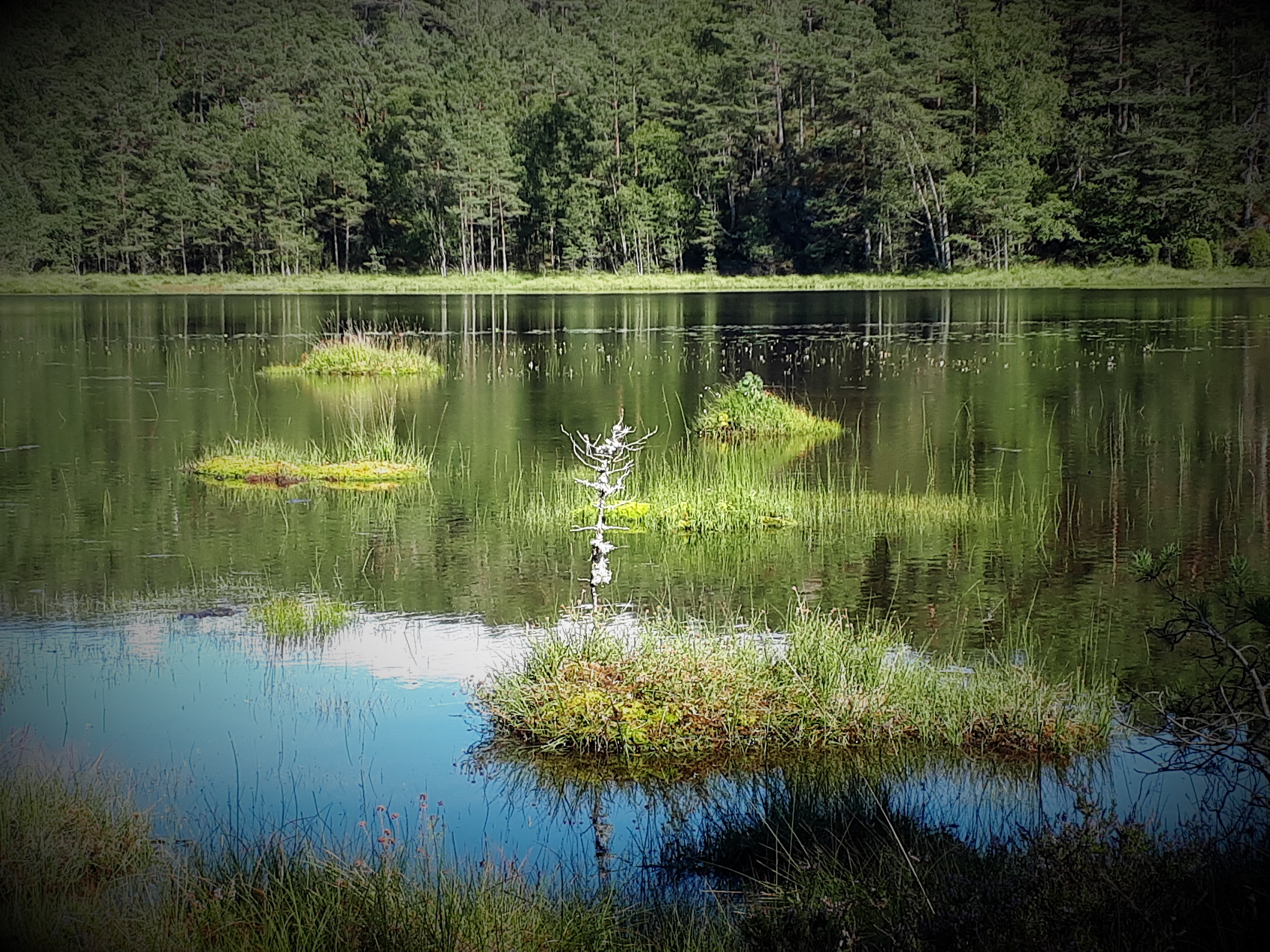 Idyll i Ådnaviksvatnet.