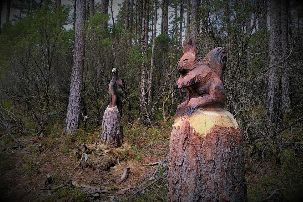 Ørna og ikornet glir fint inn i omgivnadene.