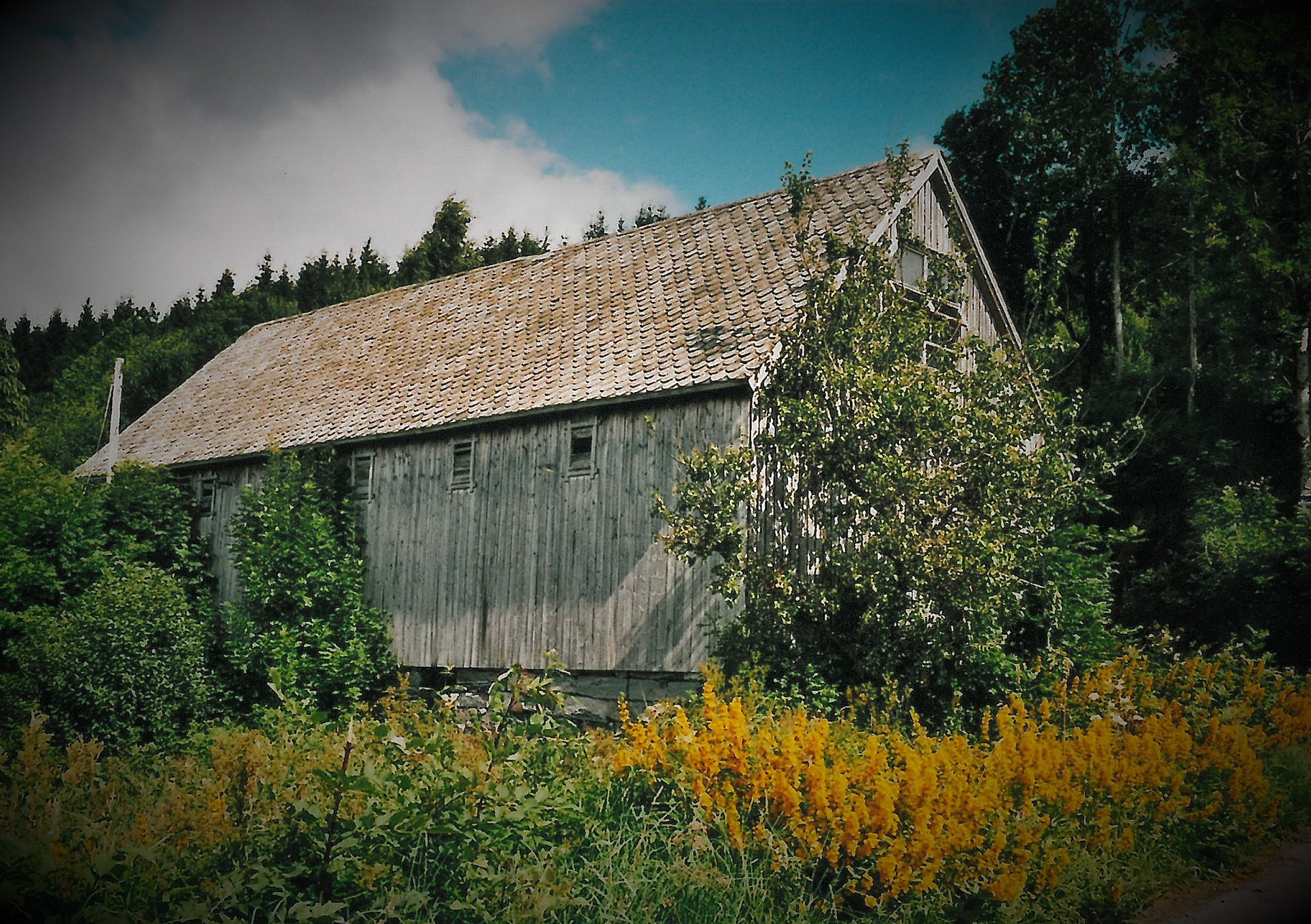 Løa frå 1936 har her sett sine beste dagar. Foto Kari Brandal.