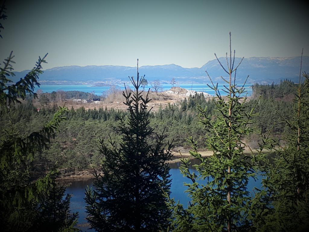 Fatlandsvatnet ligg omkransa av skog på alle kantar.