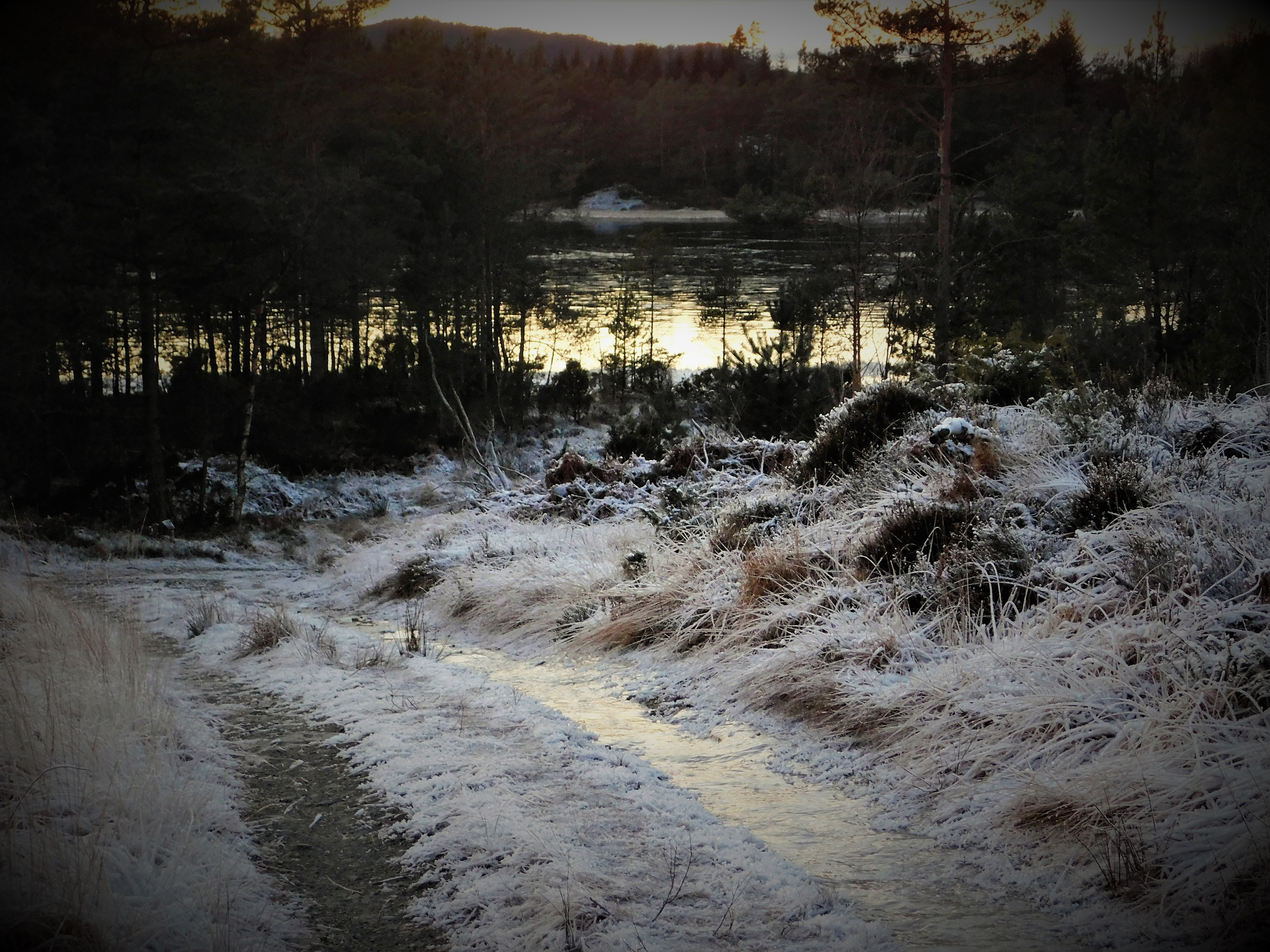 Skeiseisen ligg blank og fin og ventar på morgondagen.